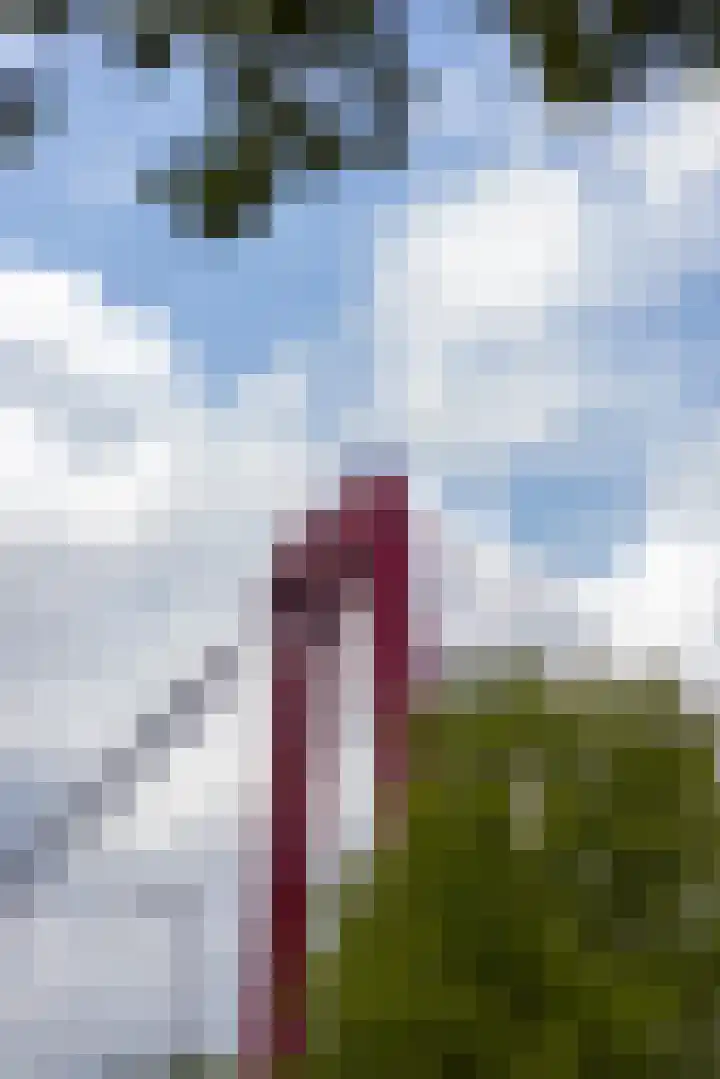 Maaskade 22 B Rotterdam thumbnail 24