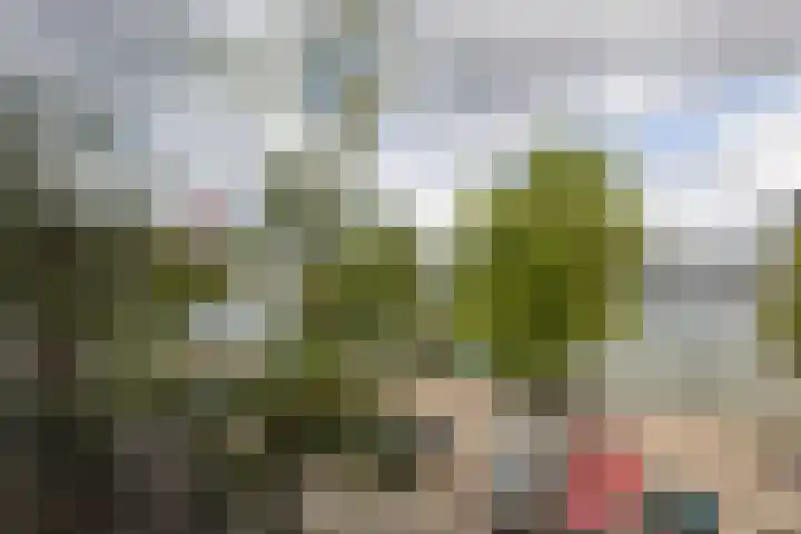 Maaskade 22 B Rotterdam thumbnail 8