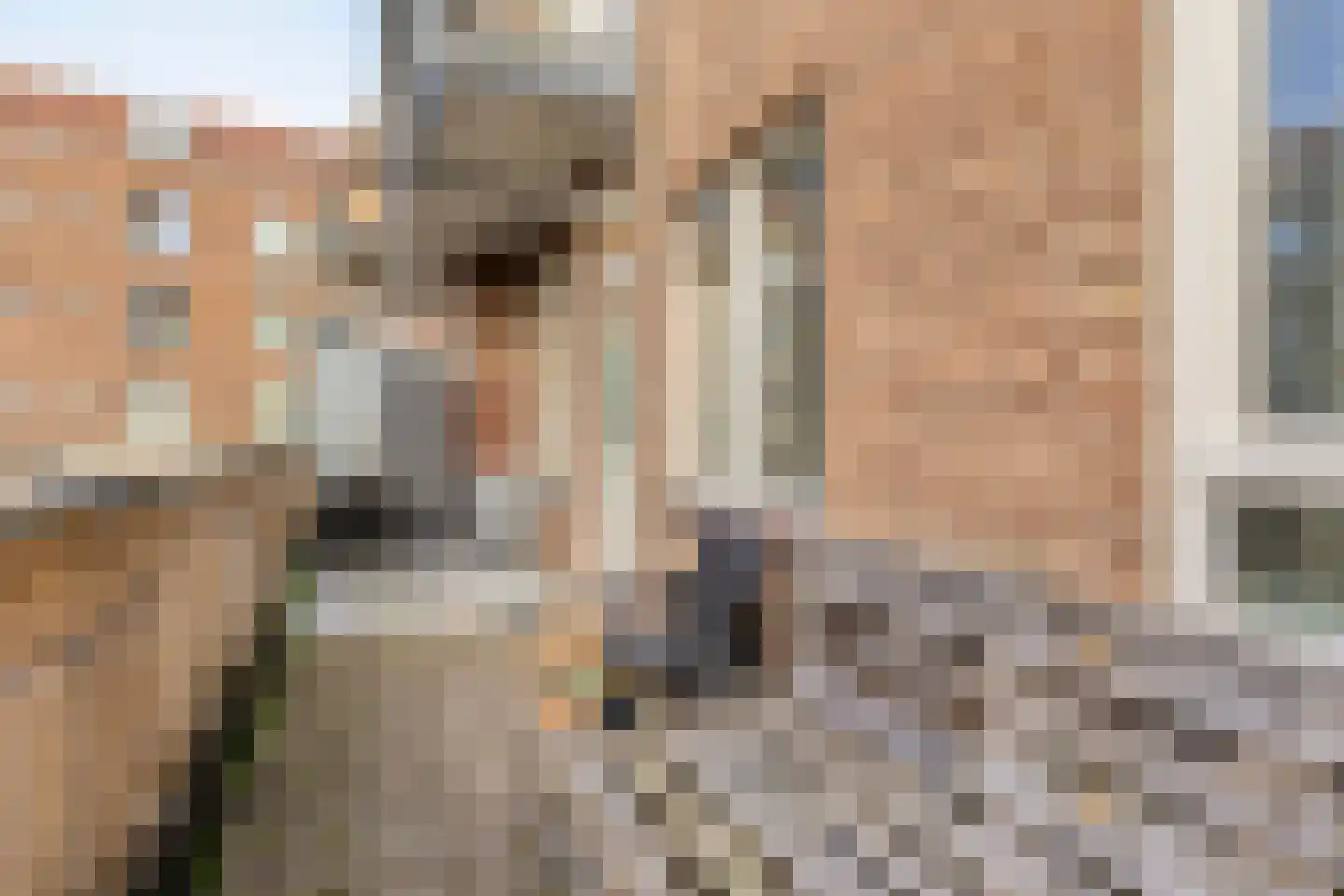 Maaskade 28 B Rotterdam thumbnail 22