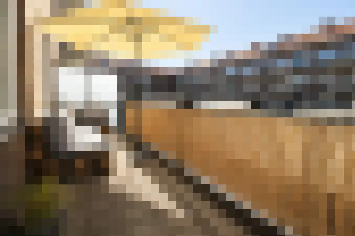 Maaskade 28 B Rotterdam thumbnail 8