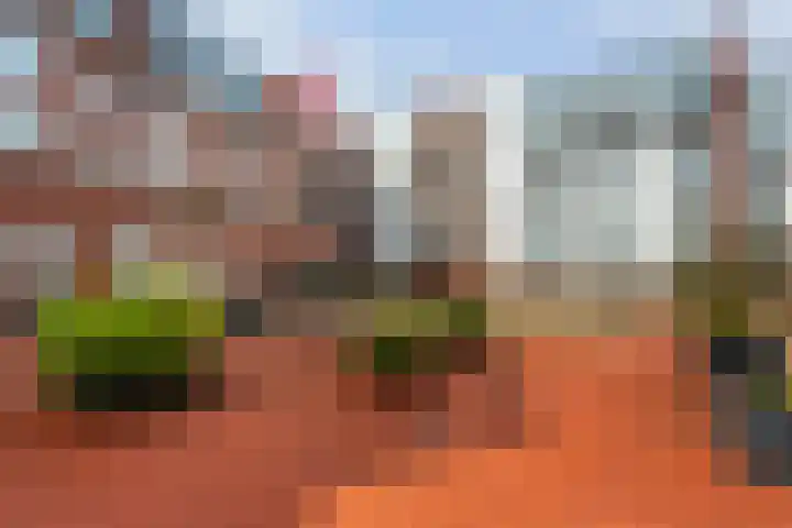 Maaskade 419 Rotterdam thumbnail 20
