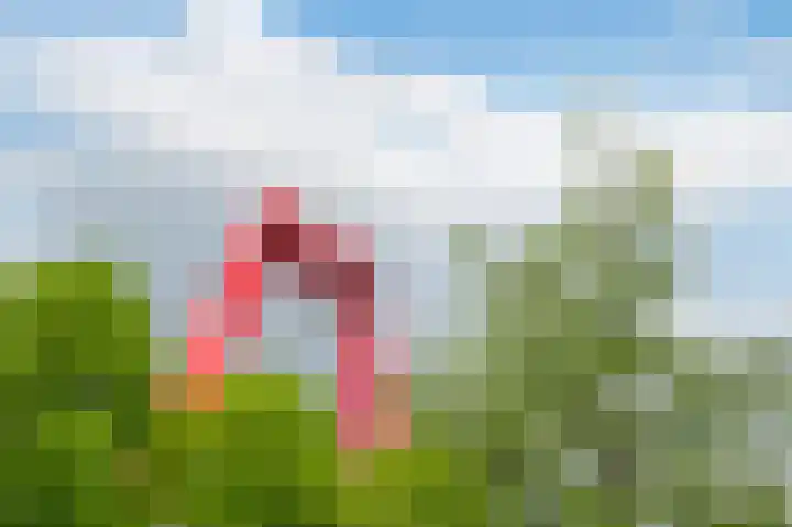 Maaskade 419 Rotterdam thumbnail 25