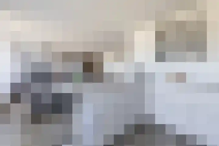 Maaskade 52 Venlo thumbnail 10