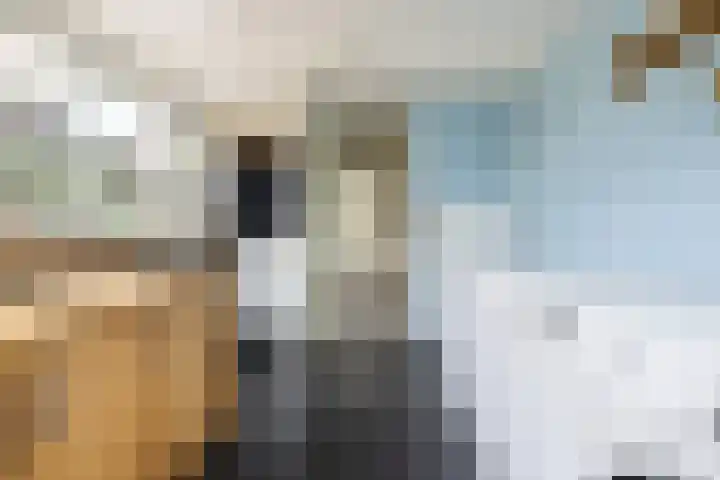 Maaskade 52 Venlo thumbnail 34