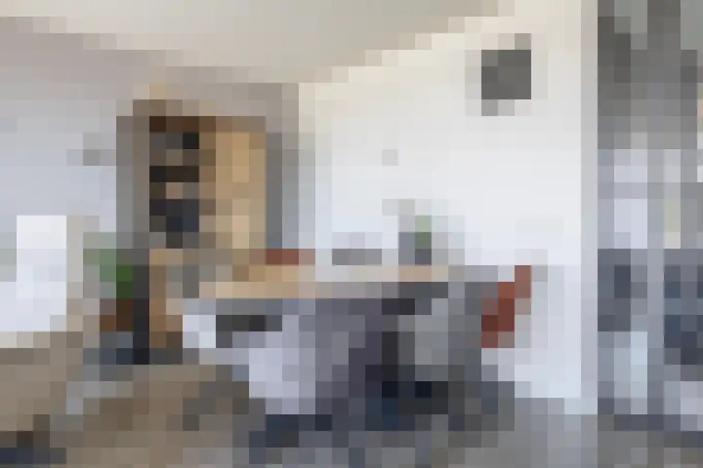 Maaskade 52 Venlo thumbnail 8