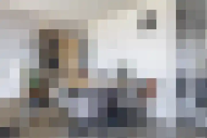 Maaskade 52 Venlo thumbnail 8