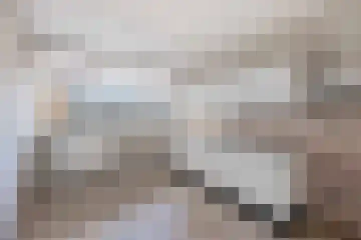 Maaskade 56 Venlo thumbnail 6