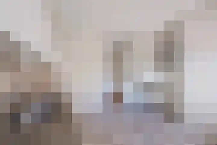 Maaskade 56 Venlo thumbnail 7