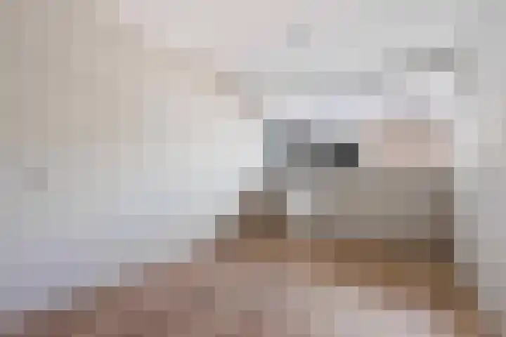 Maaskade 56 Venlo thumbnail 8