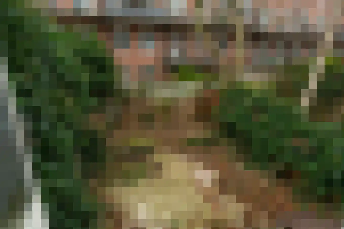 Maaskade 86 B Rotterdam thumbnail 13