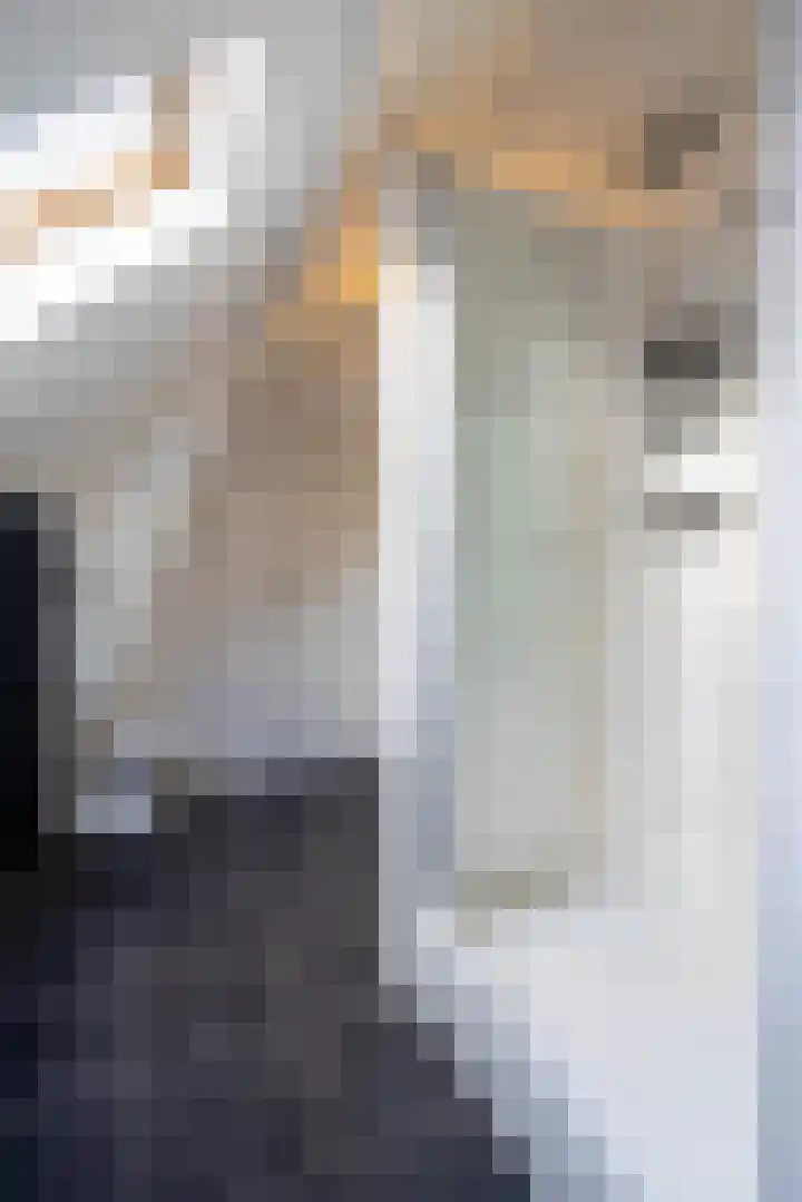 Maaskade 96 B 03 Rotterdam thumbnail 30