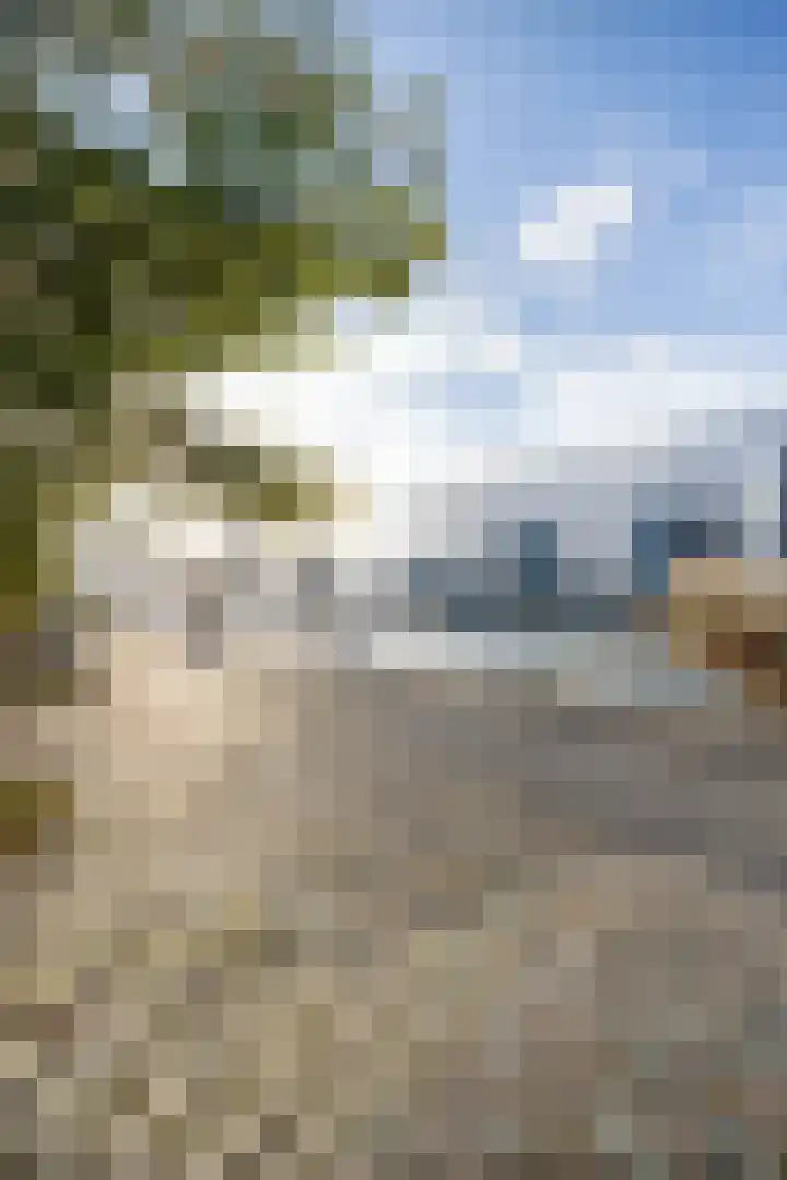 Maaskade 96 B 03 Rotterdam thumbnail 34