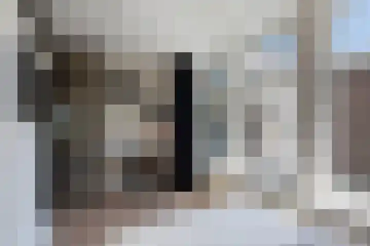 Maaskade 97 B Rotterdam thumbnail 13