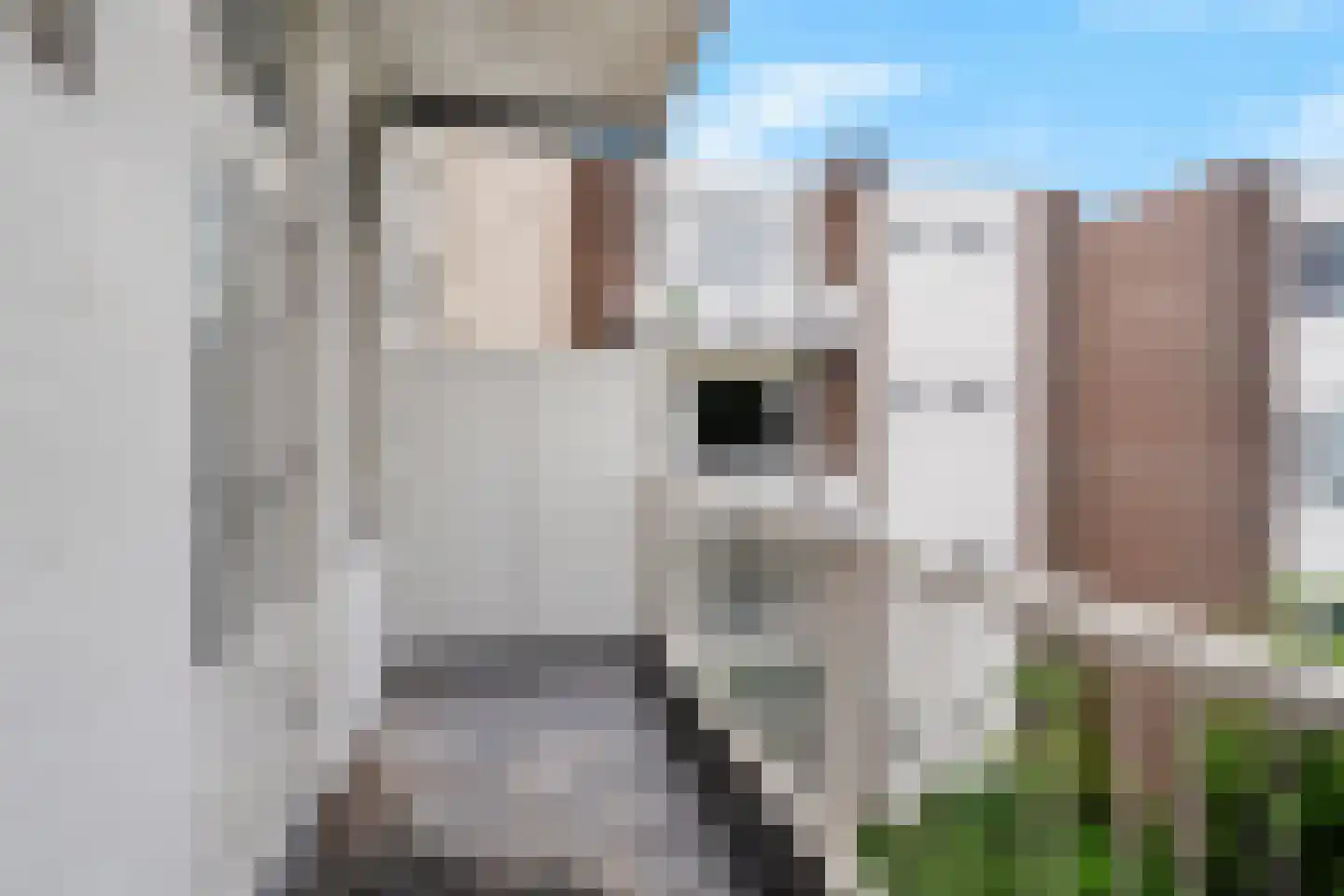 Maaskade 99 B 01 Rotterdam thumbnail 12