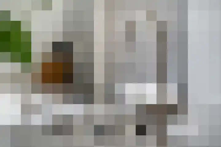 Maaskant 10 Ochten thumbnail 24