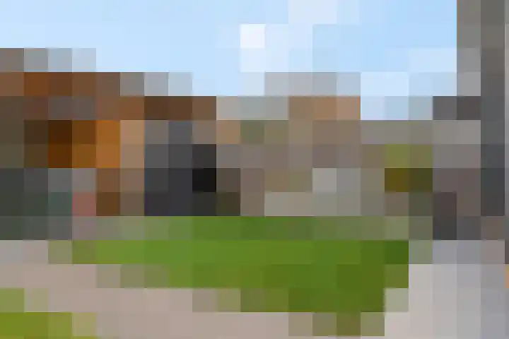 Maaskant 10 Ochten thumbnail 47