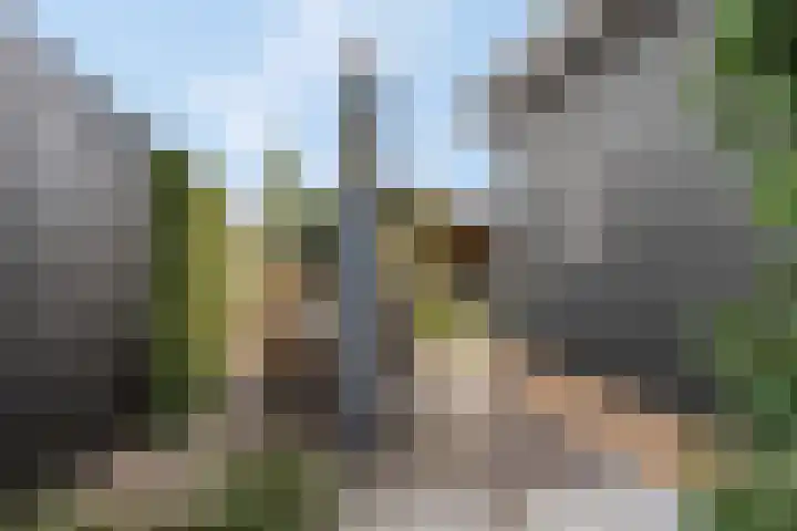 Maaskant 10 Ochten thumbnail 54
