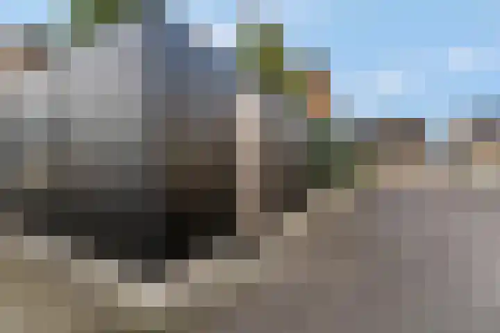 Maaskant 10 Ochten thumbnail 57