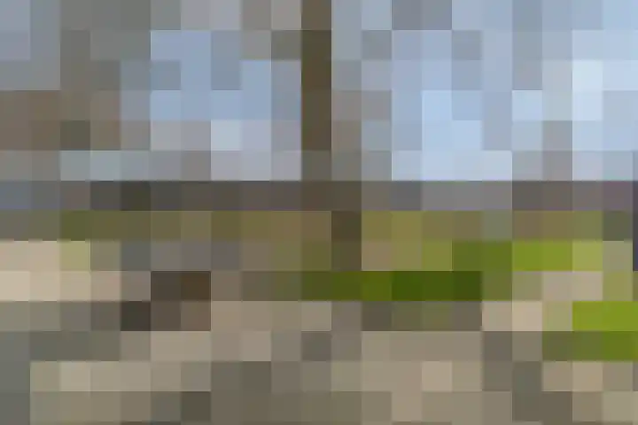 Maaskant 10 Ochten thumbnail 60