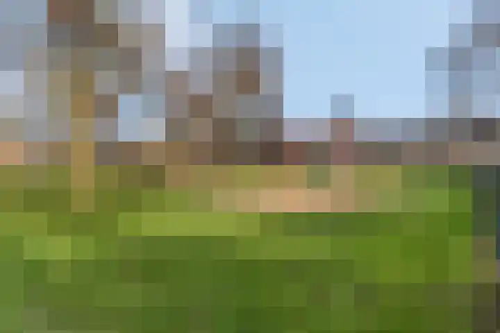 Maaskant 10 Ochten thumbnail 63