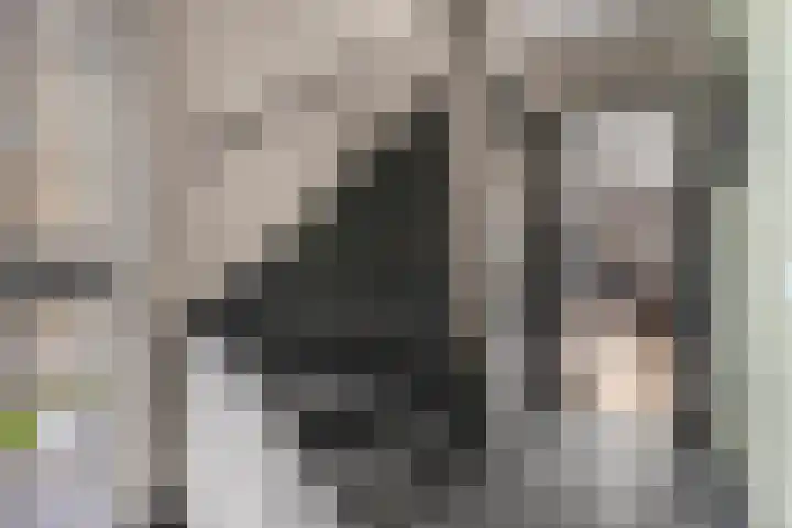Maaskant 10 Ochten thumbnail 7