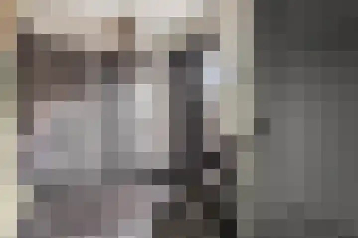 Maaskant 10 Ochten thumbnail 9