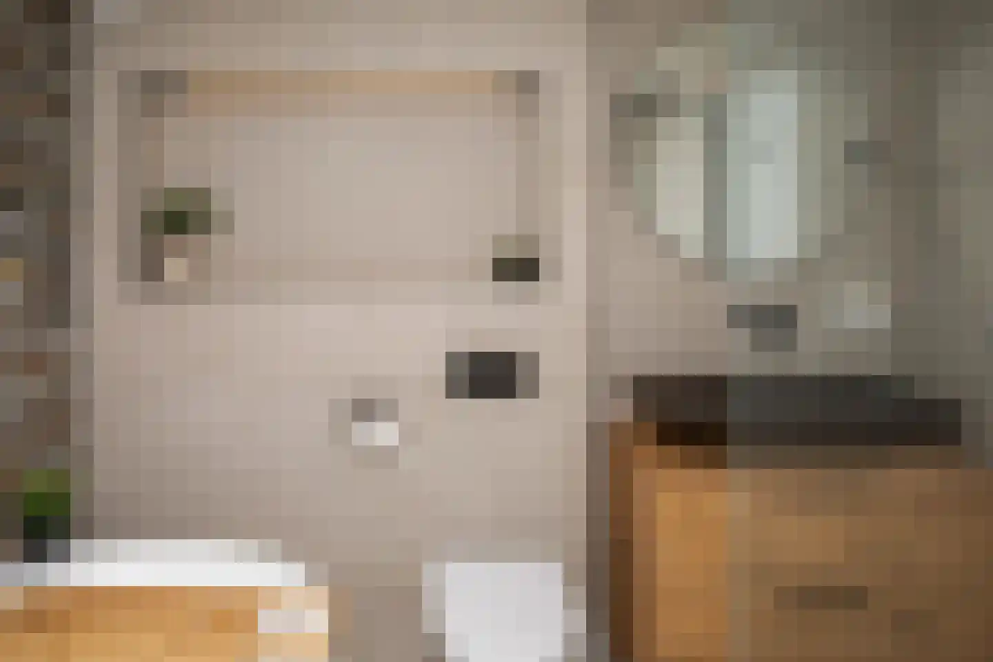 Maaskant 27 Ochten thumbnail 13