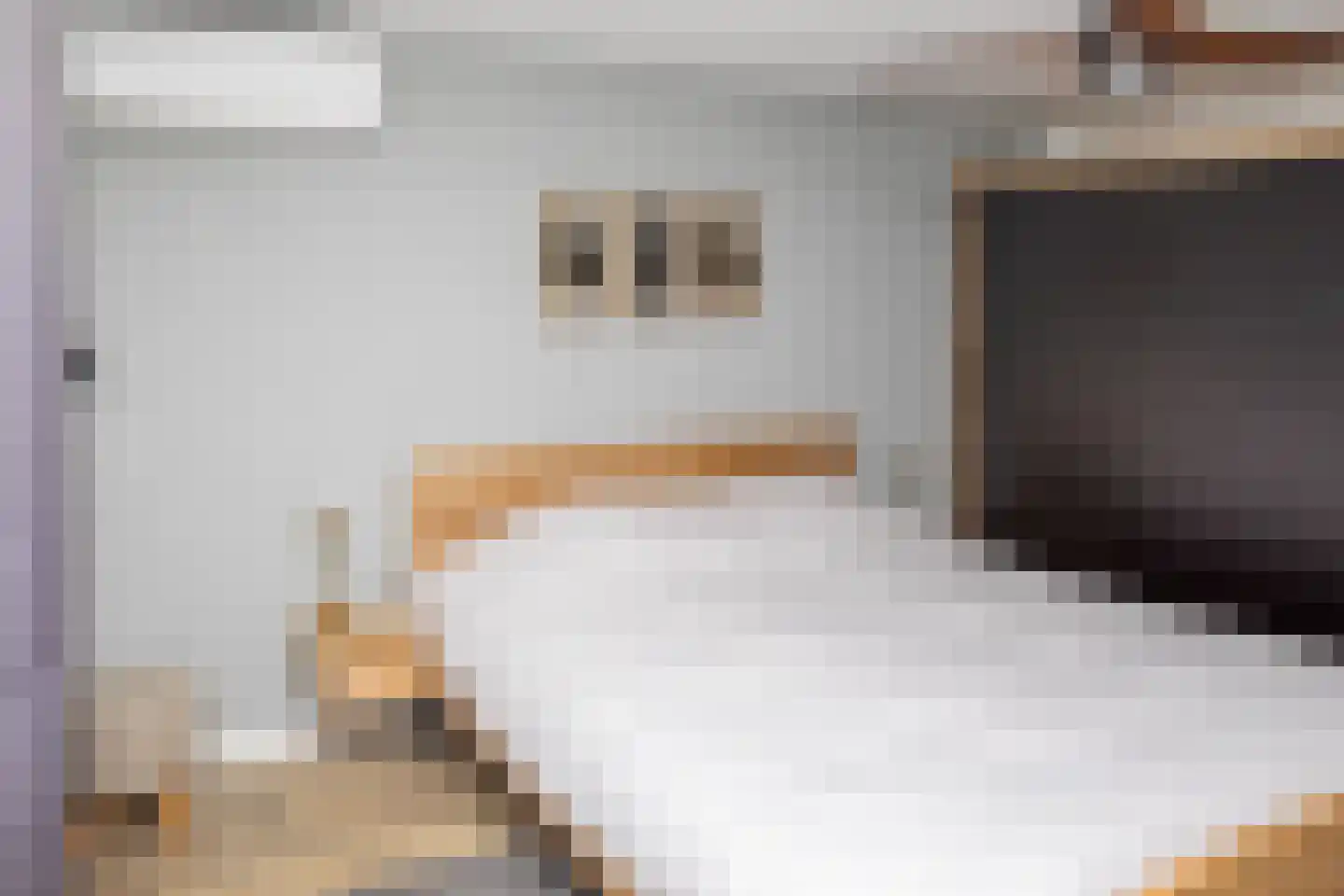 Maaskant 27 Ochten thumbnail 39