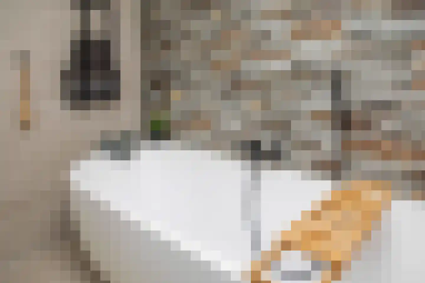 Maaskant 27 Ochten thumbnail 43