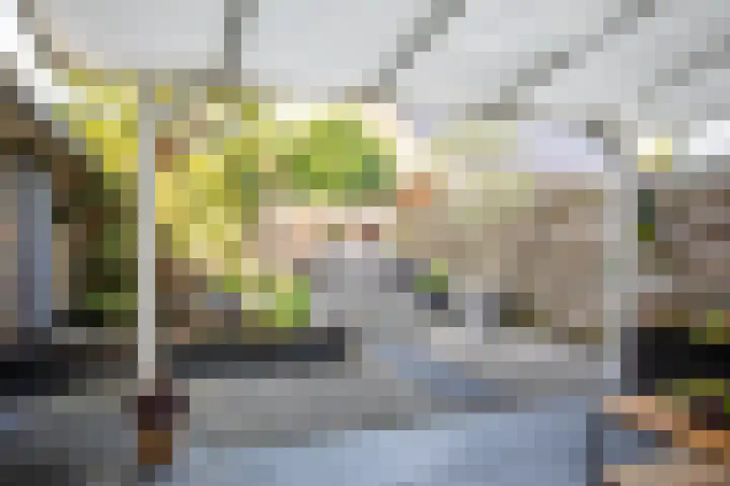 Maaskant 27 Ochten thumbnail 52