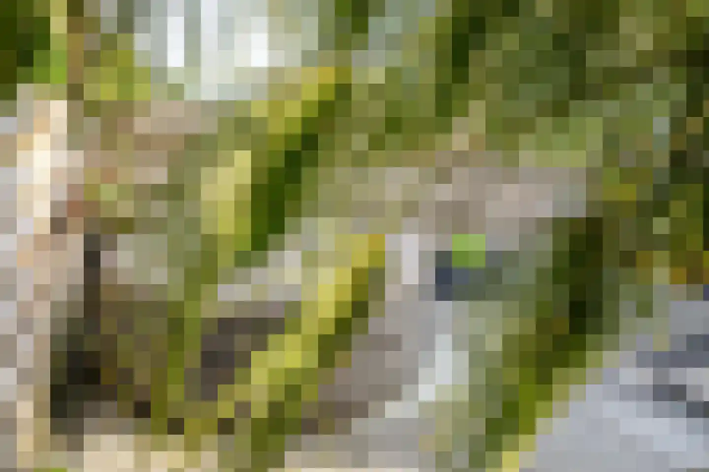 Maaskant 27 Ochten thumbnail 57