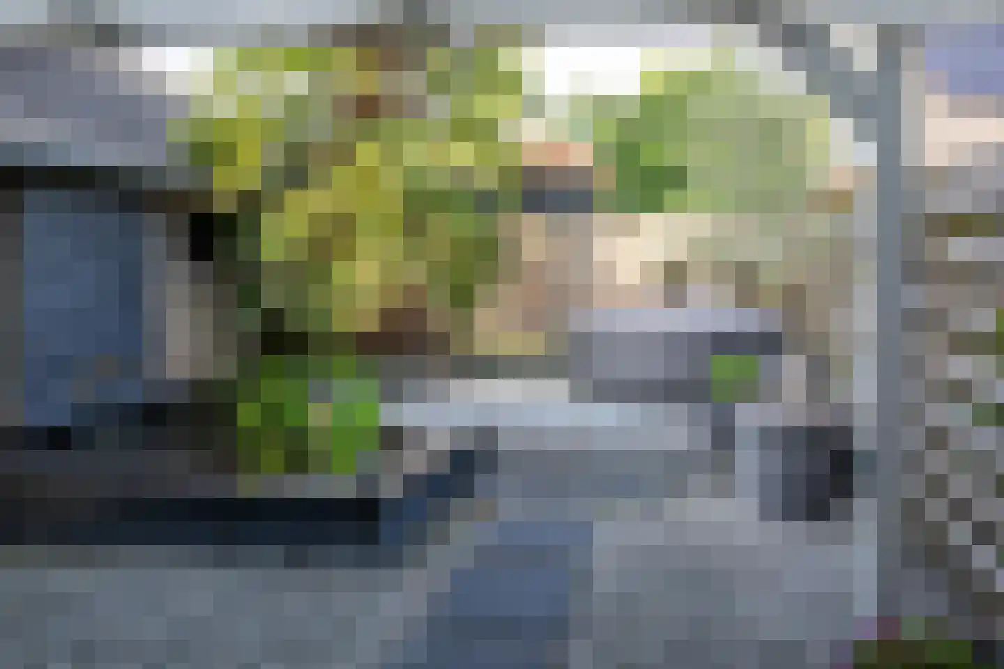 Maaskant 27 Ochten thumbnail 60