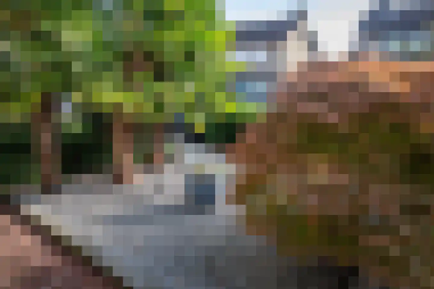 Maaskant 27 Ochten thumbnail 64