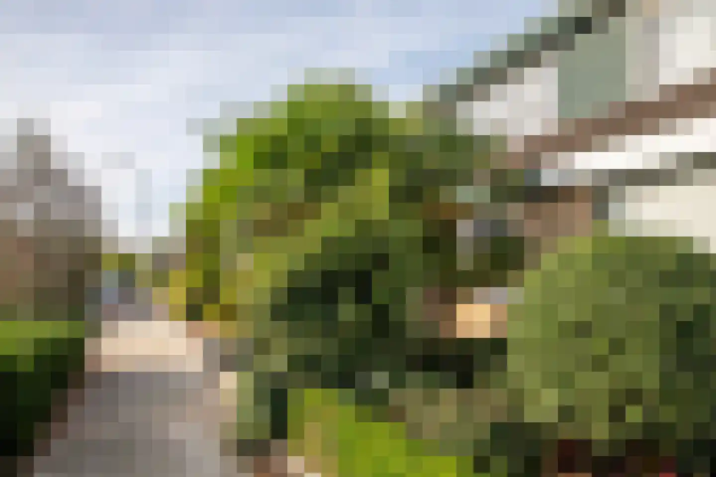 Maaskant 27 Ochten thumbnail 67