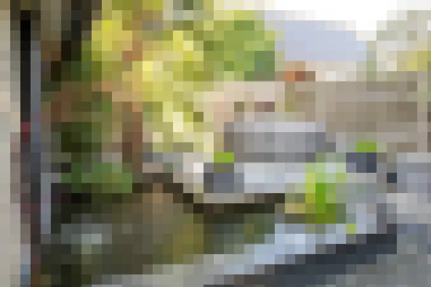 Maaskant 27 Ochten thumbnail 7