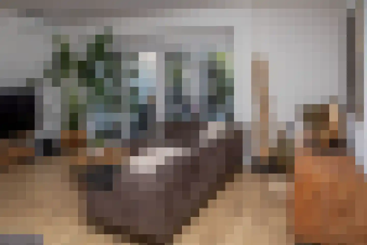 Maaskant 27 Ochten thumbnail 76