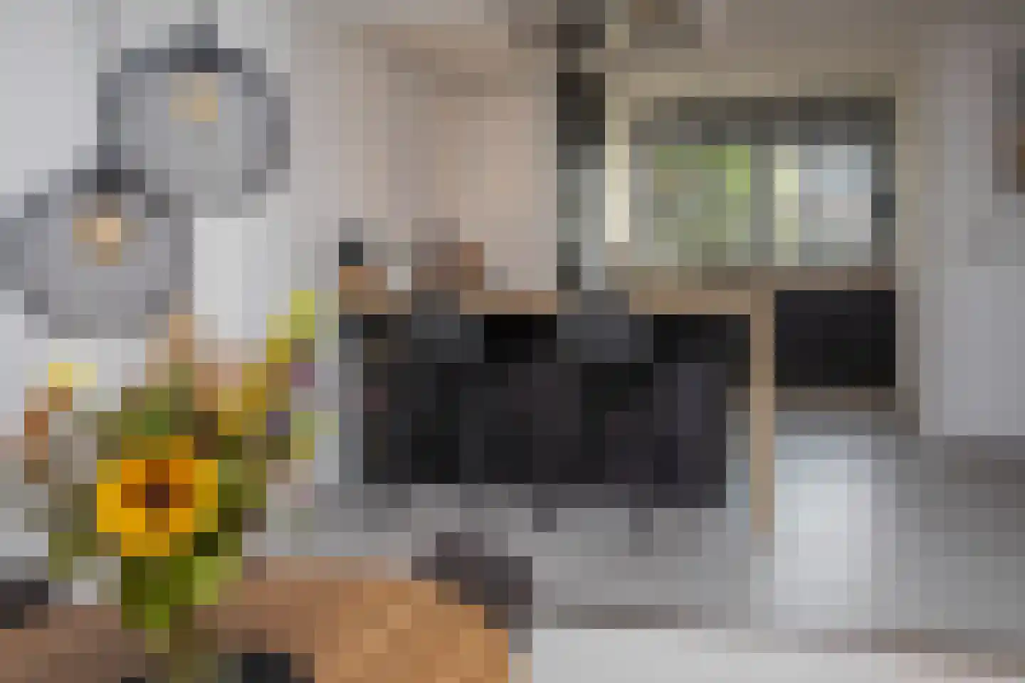 Maaskant 27 Ochten thumbnail 79