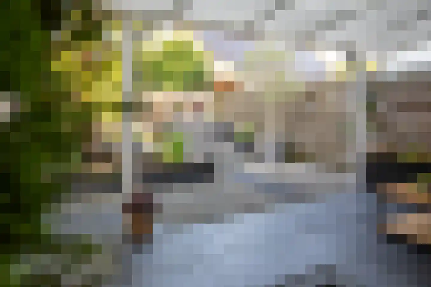 Maaskant 27 Ochten thumbnail 88