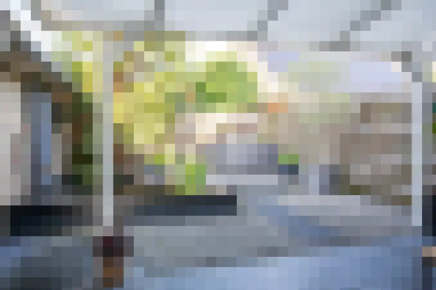 Maaskant 27 Ochten thumbnail 95