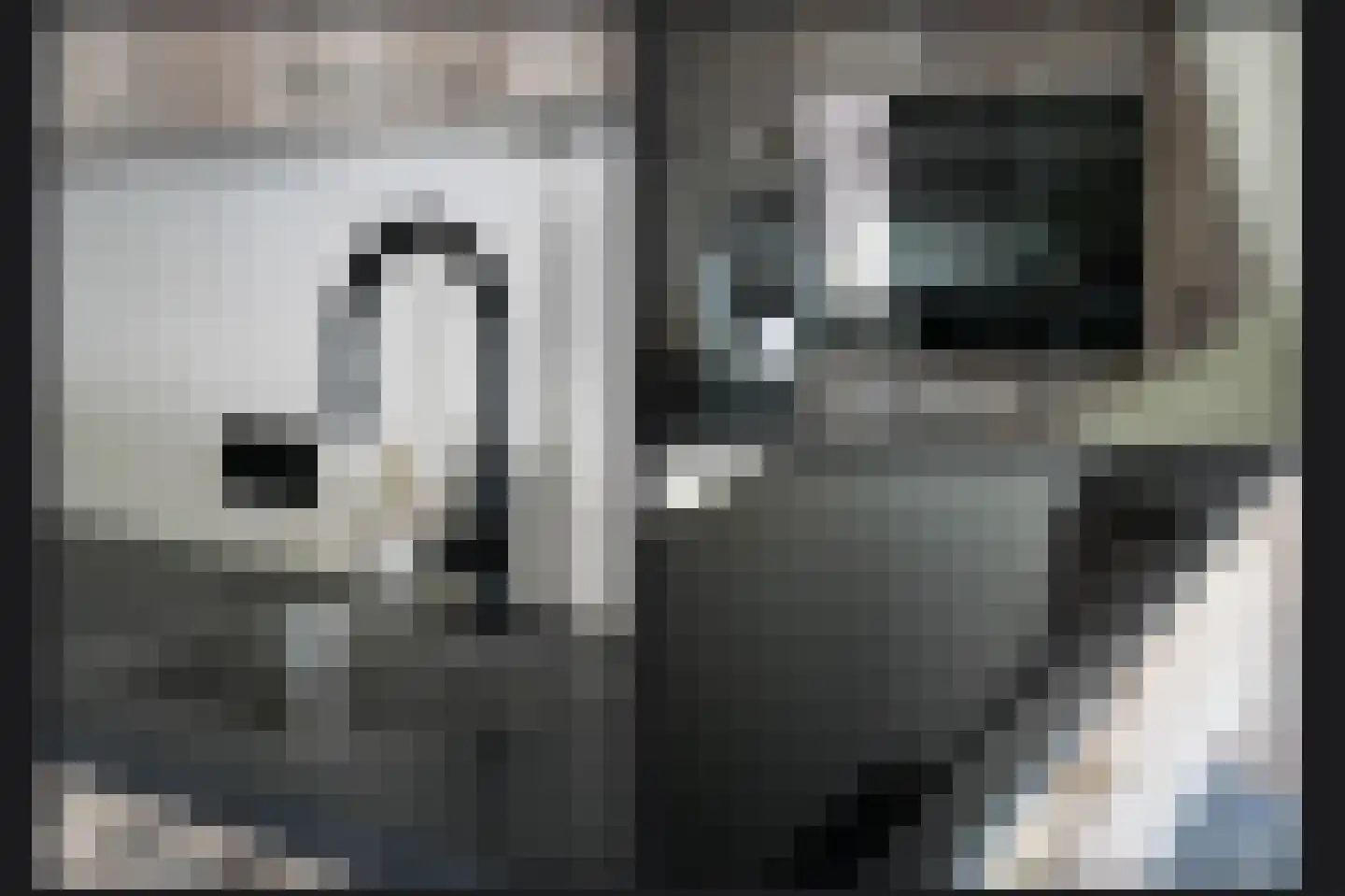 Maaskant 38 Ochten thumbnail 19