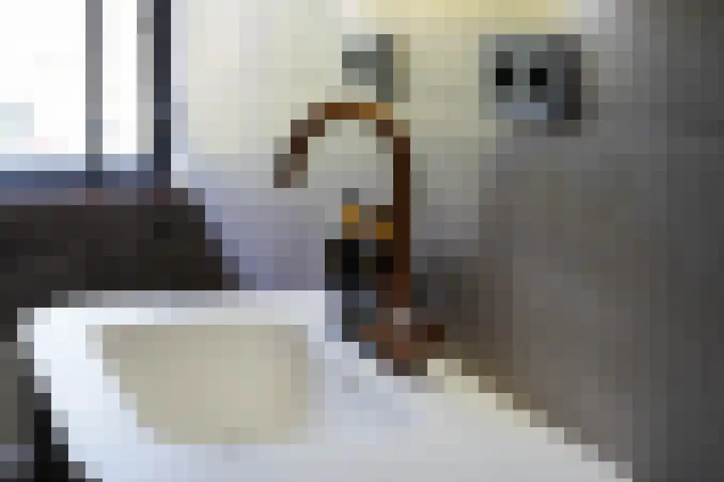 Maaskant 38 Ochten thumbnail 36