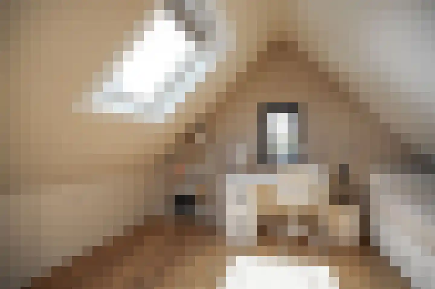 Maaskant 38 Ochten thumbnail 40
