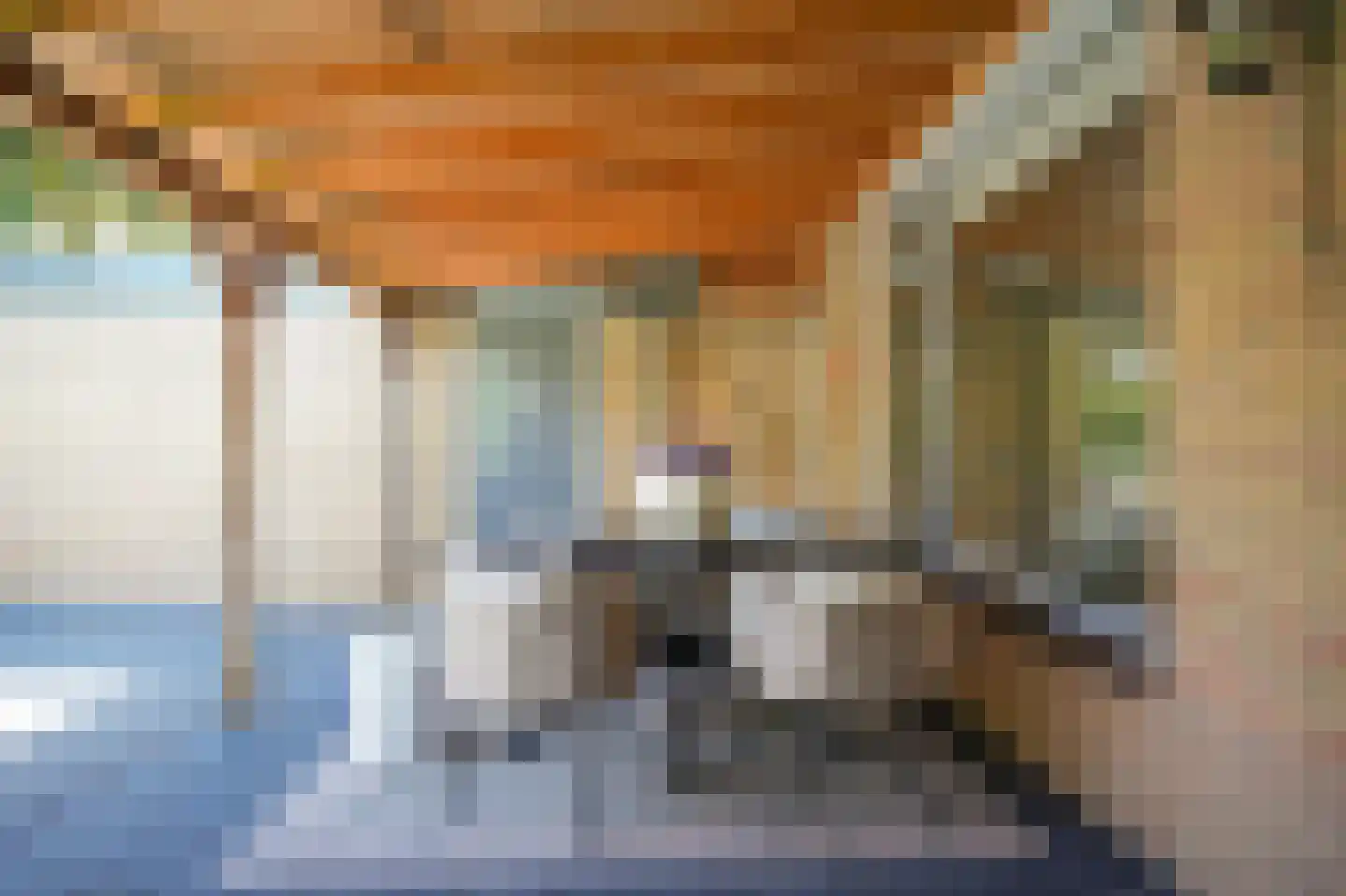 Maaskant 38 Ochten thumbnail 45