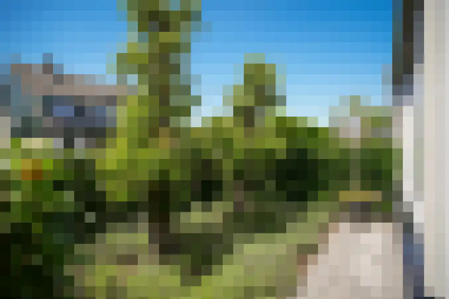 Maaskant 38 Ochten thumbnail 56