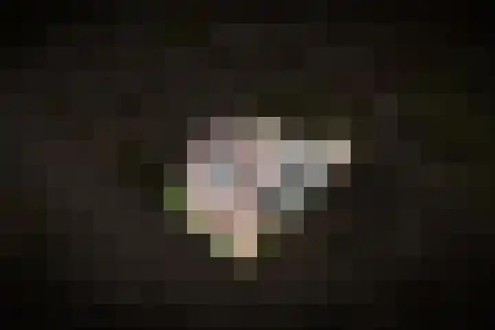 Maaskant 5 Ochten thumbnail 33