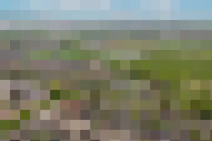Maaskant 5 Ochten thumbnail 34