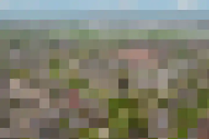 Maaskant 5 Ochten thumbnail 35