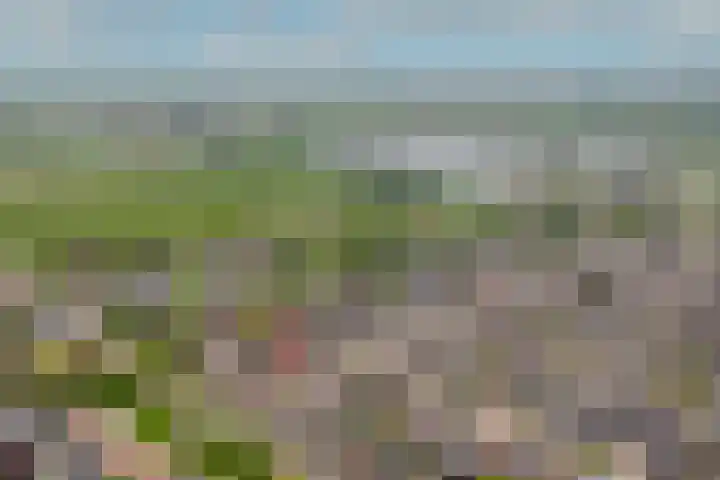 Maaskant 5 Ochten thumbnail 36