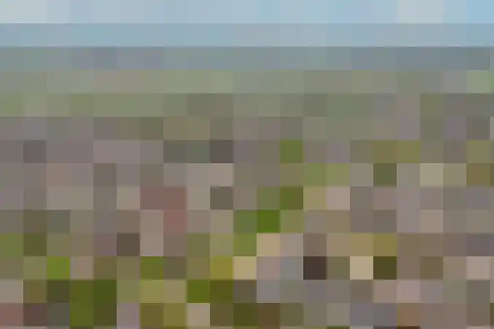 Maaskant 5 Ochten thumbnail 37