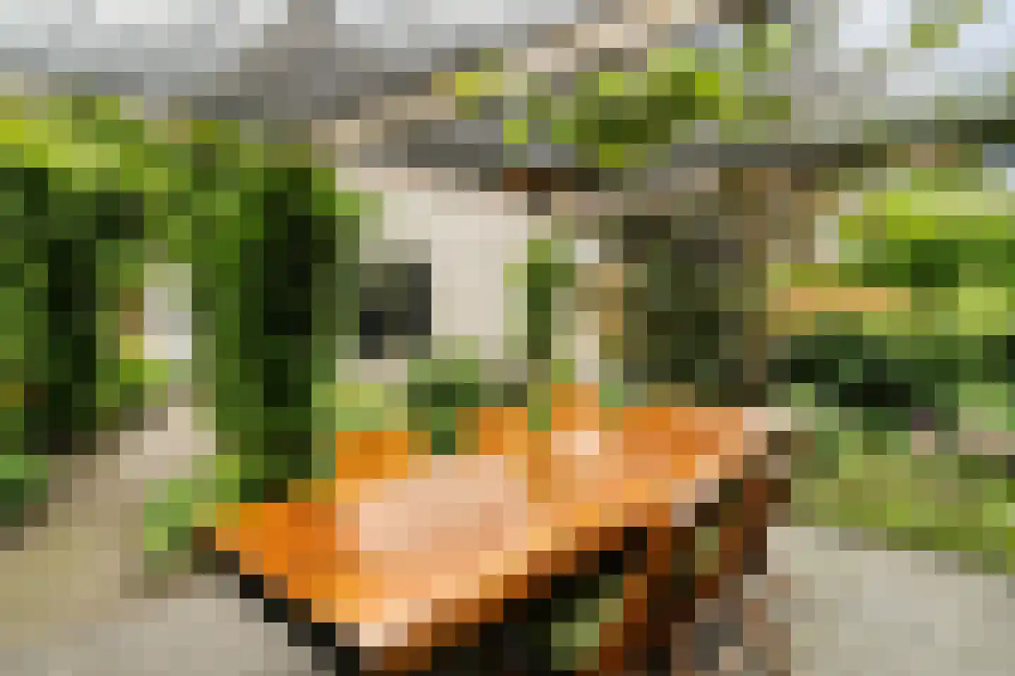 Maaskant-erf 44 Dordrecht thumbnail 32